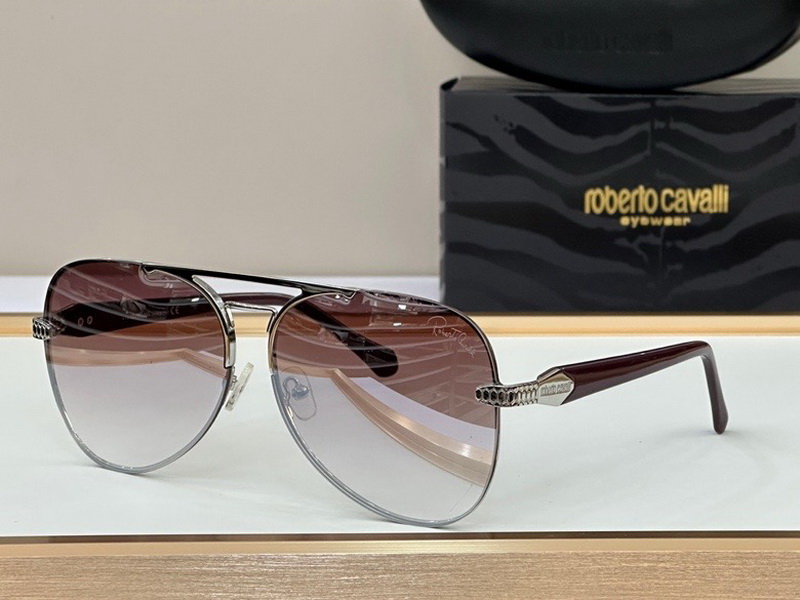 ROAV Sunglasses(AAAA)-069