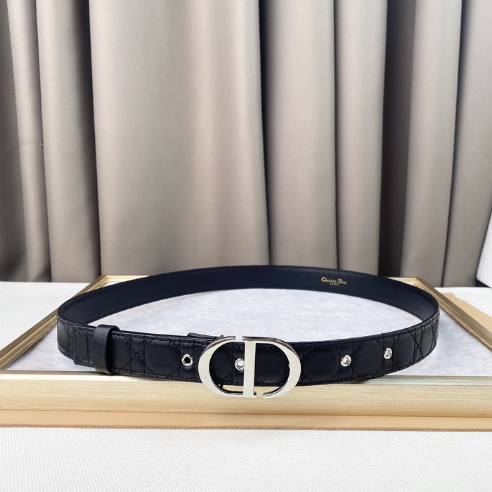 Dior Belts(AAAAA)-175
