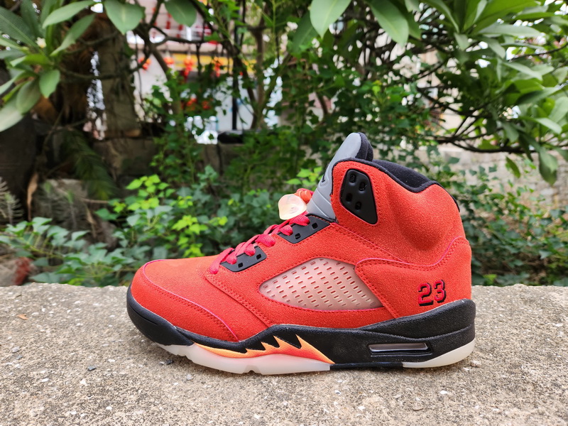 Air Jordan 5 Retro-003