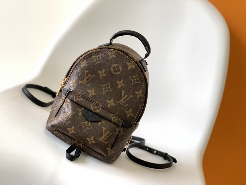 LV Backpack(AAA)-041