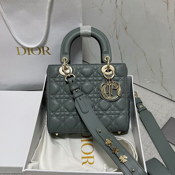 Dior Handbags AAA(Women)-133