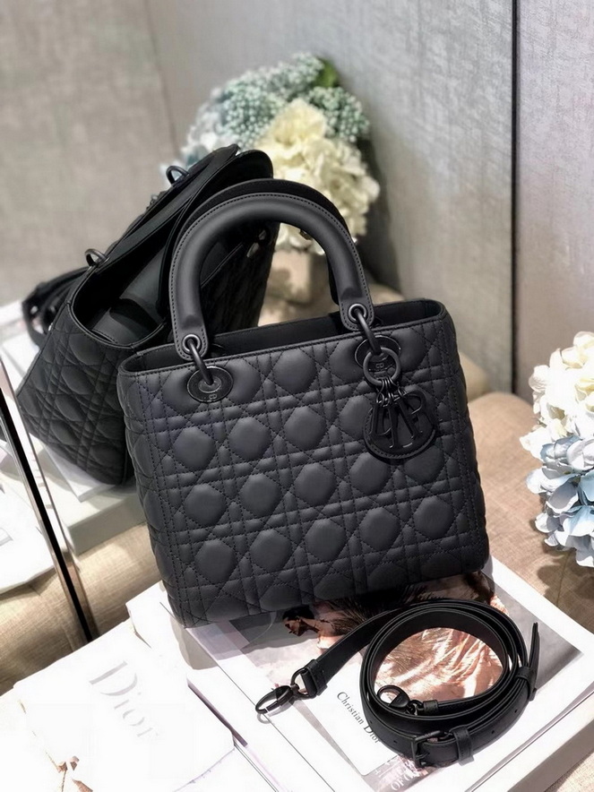 Dior Handbags AAA(Women)-140