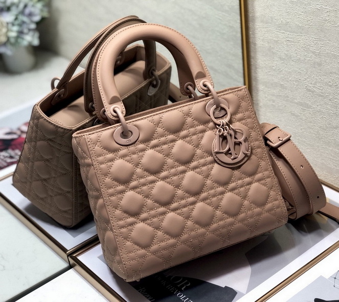 Dior Handbags AAA(Women)-309