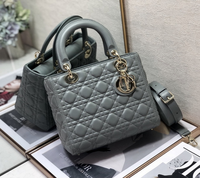 Dior Handbags AAA(Women)-310