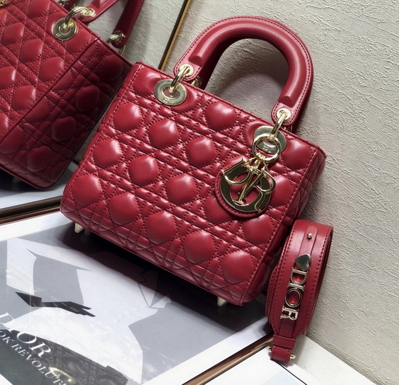 Dior Handbags AAA(Women)-352