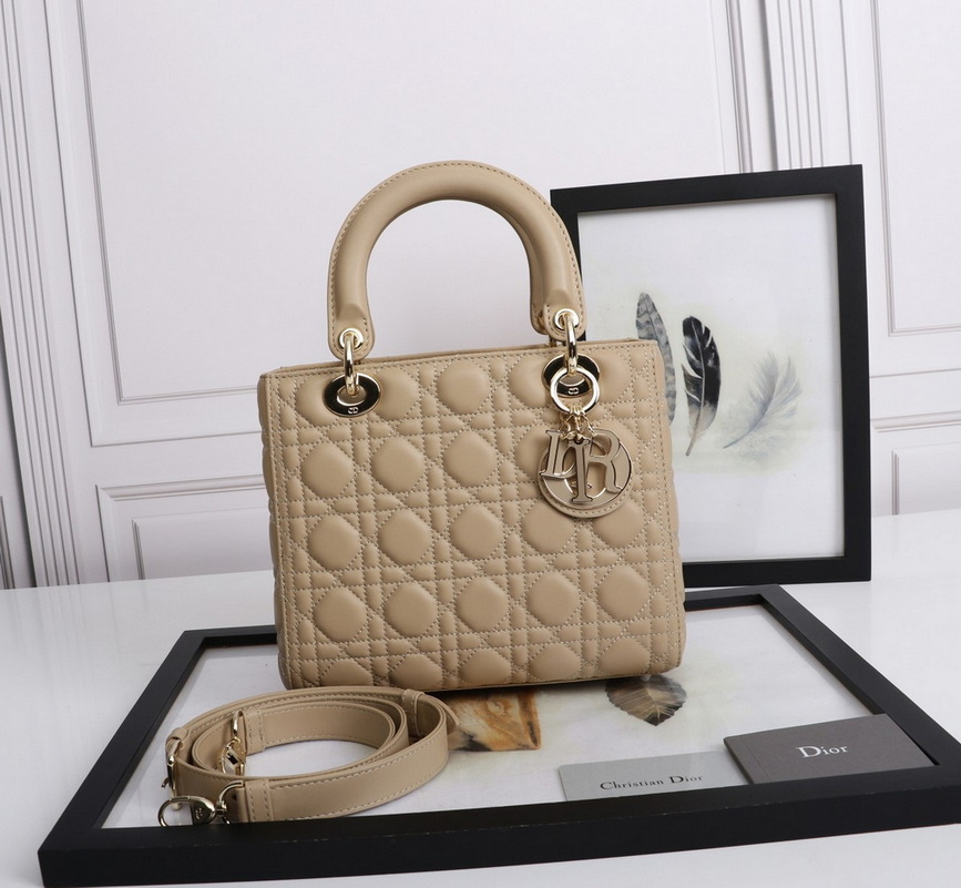 Dior Handbags AAA(Women)-470