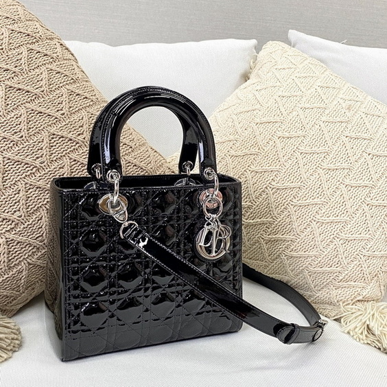 Dior Handbags AAA(Women)-164