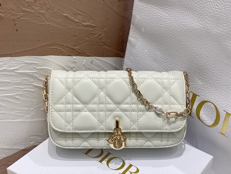 Dior Handbags AAA(Women)-168