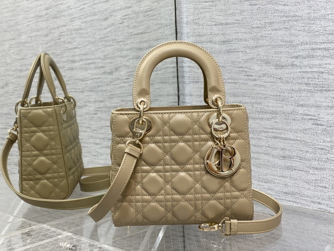 Dior Handbags AAA(Women)-189