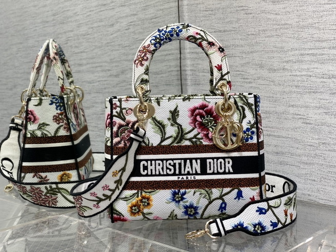 Dior Handbags AAA(Women)-479