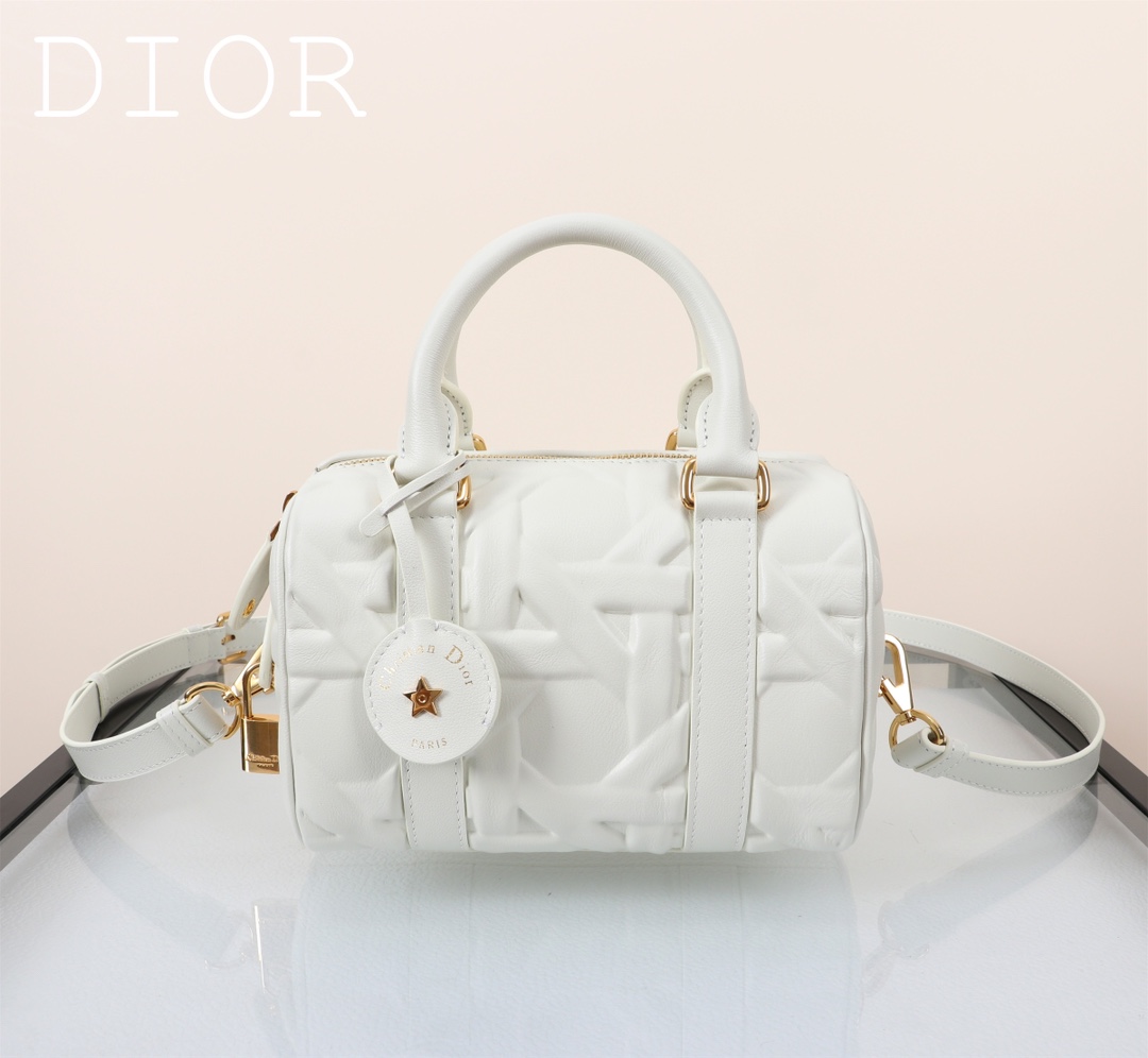 Dior Handbags AAA(Women)-487