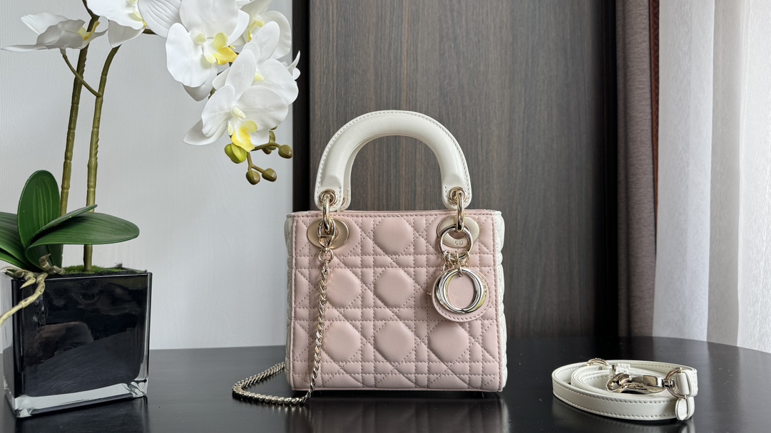 Dior Handbags AAA(Women)-508