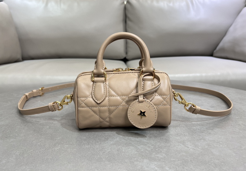 Dior Handbags AAA(Women)-511