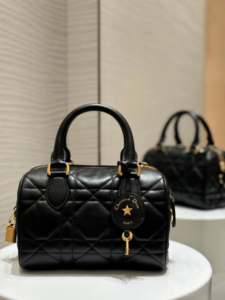 Dior Handbags AAA(Women)-541