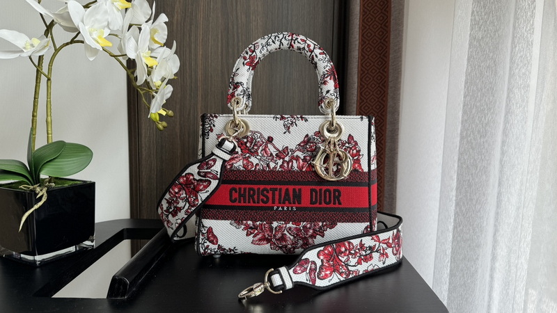 Dior Handbags AAA(Women)-564