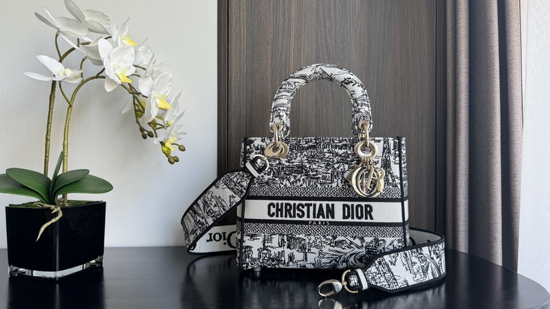 Dior Handbags AAA(Women)-605