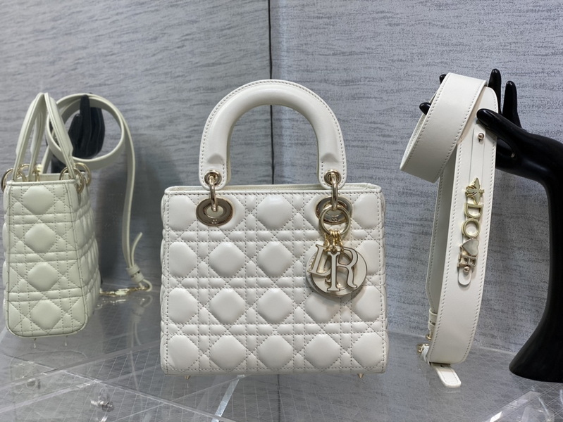 Dior Handbags AAA(Women)-620