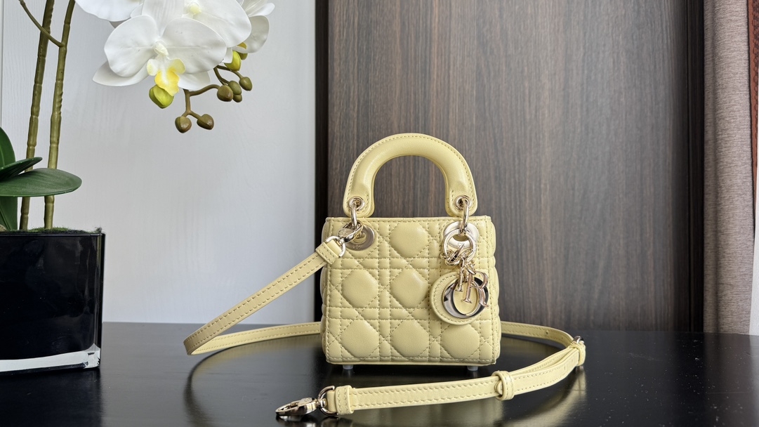 Dior Handbags AAA(Women)-630