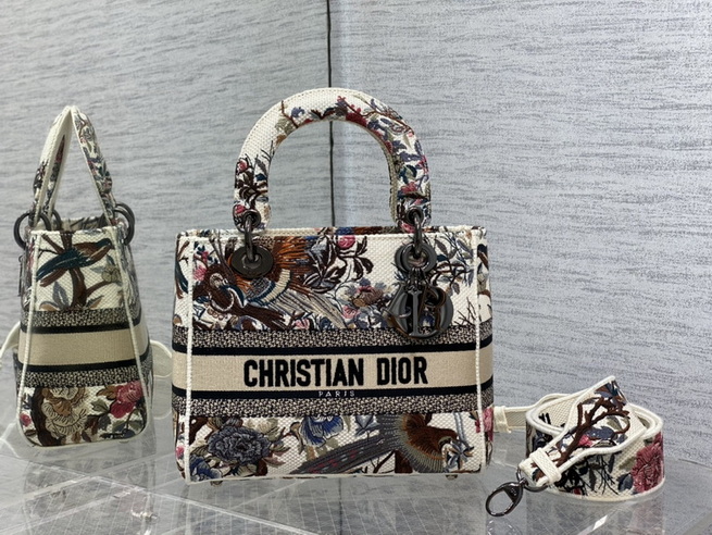 Dior Handbags AAA(Women)-664