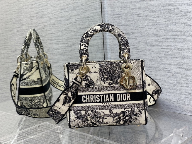 Dior Handbags AAA(Women)-666