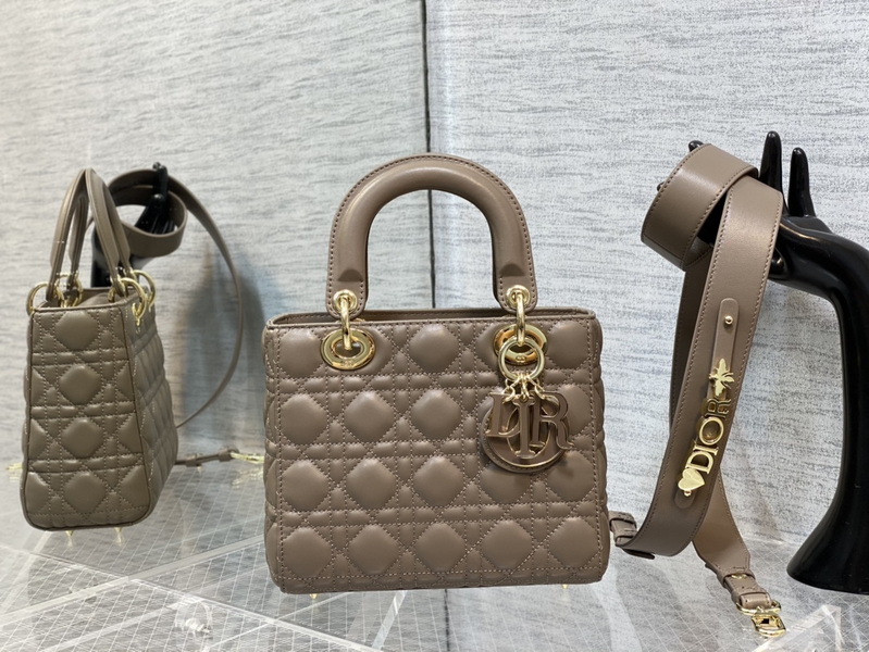 Dior Handbags AAA(Women)-667