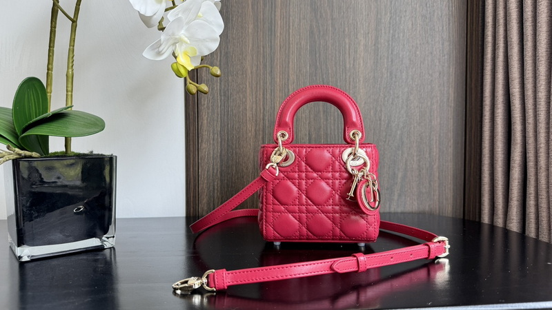 Dior Handbags AAA(Women)-673