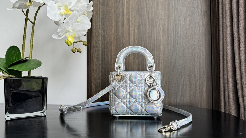 Dior Handbags AAA(Women)-709