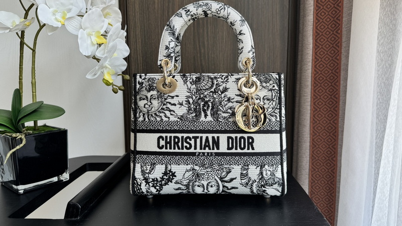 Dior Handbags AAA(Women)-711