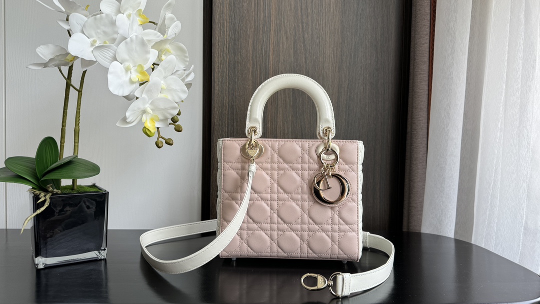 Dior Handbags AAA(Women)-742